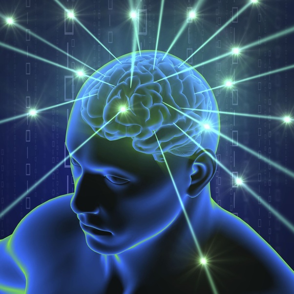 Brain active